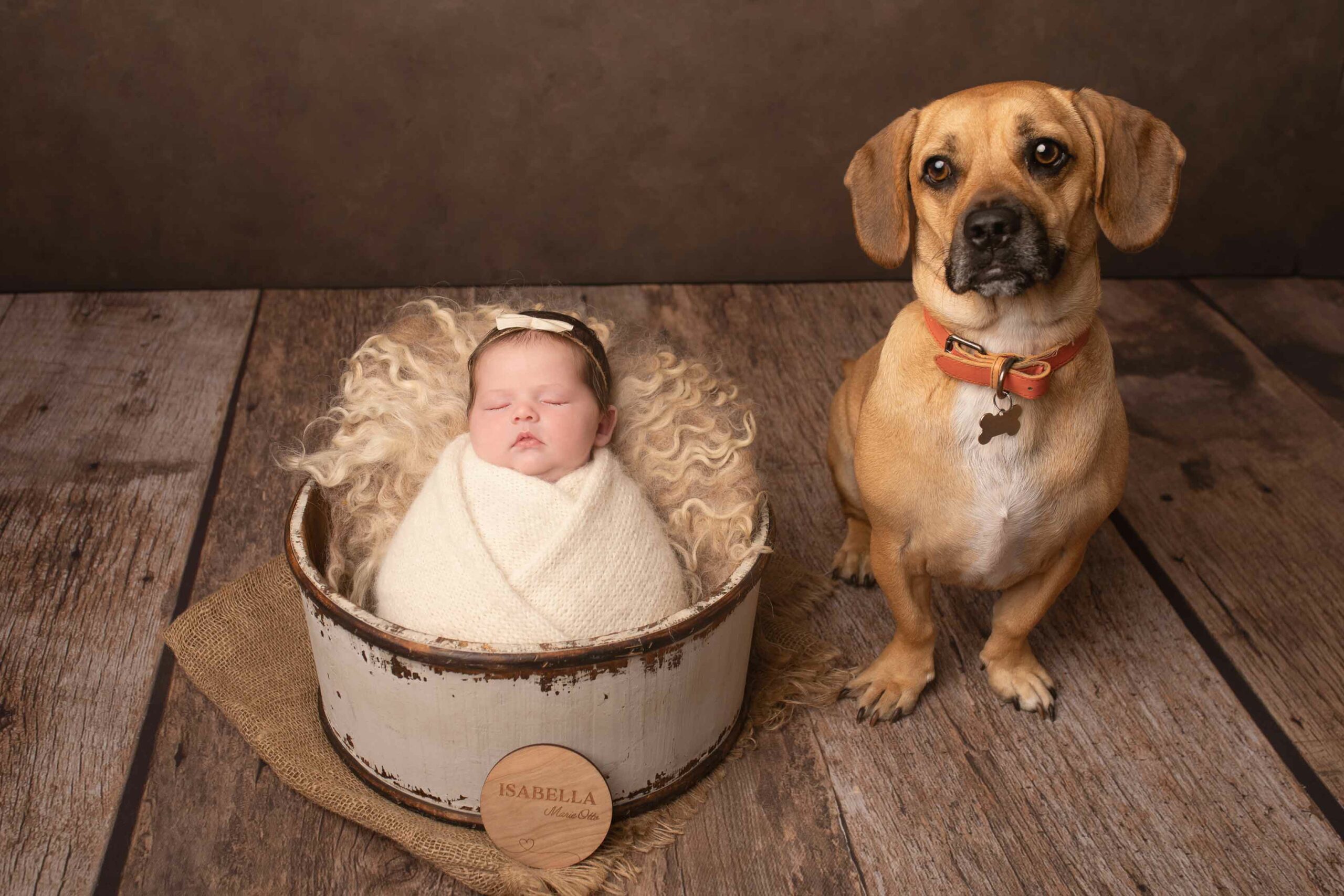 Baby girl in wooden prop photographed next to her dog on wooden backdrop. Hannah Cornford Photography based in Medway Kent